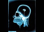 fond ecran cerveau de Homer Simpson