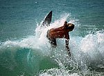fond ecran  surf