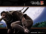 fond ecran  Tenchu Z