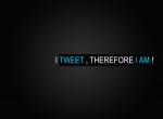 fond ecran  Twitter