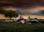 The Vampire Diaries wallpaper