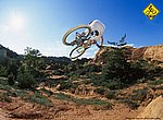 fond ecran  vtt