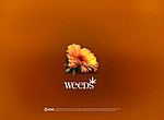 fond ecran  Weeds