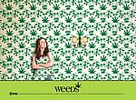 fond ecran  Weeds