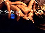 fond ecran  YSL nu